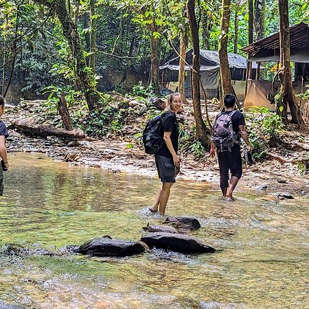 Thejungleguide - Lodges & Treks Bukit Lawang Eksteriør bilde