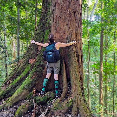 Thejungleguide - Lodges & Treks Bukit Lawang Eksteriør bilde