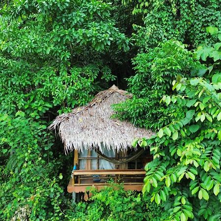 Thejungleguide - Lodges & Treks Bukit Lawang Eksteriør bilde