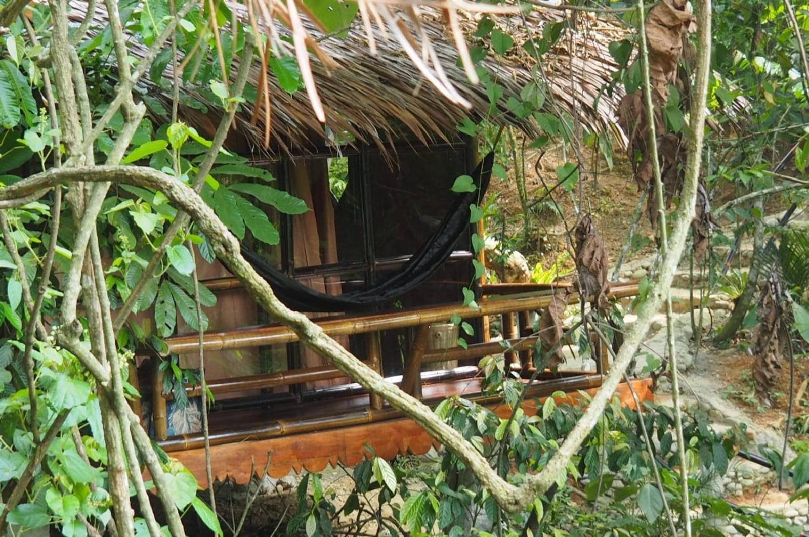 Thejungleguide - Lodges & Treks Bukit Lawang Eksteriør bilde