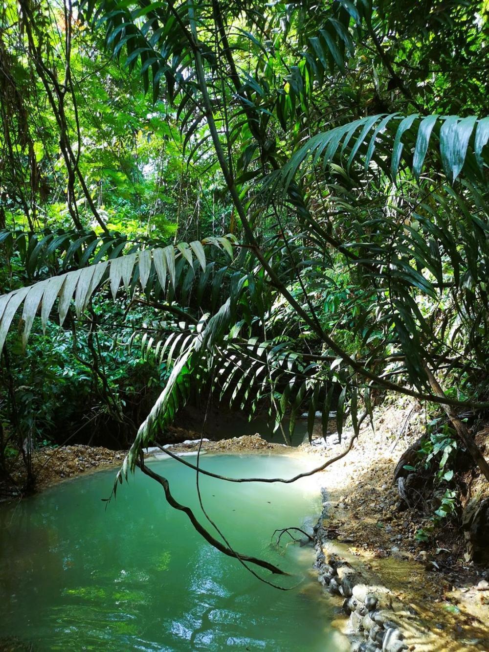 Thejungleguide - Lodges & Treks Bukit Lawang Eksteriør bilde