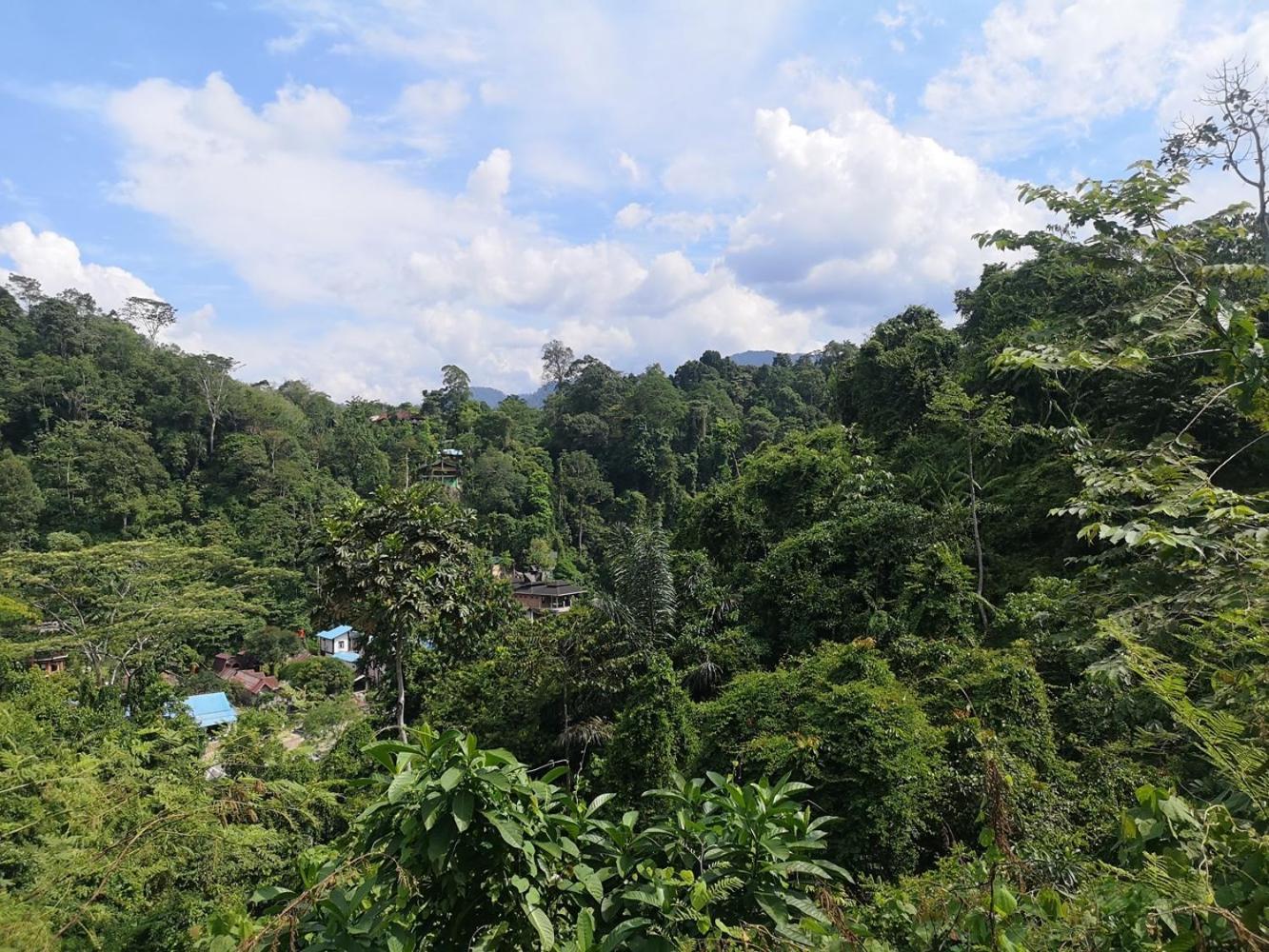 Thejungleguide - Lodges & Treks Bukit Lawang Eksteriør bilde