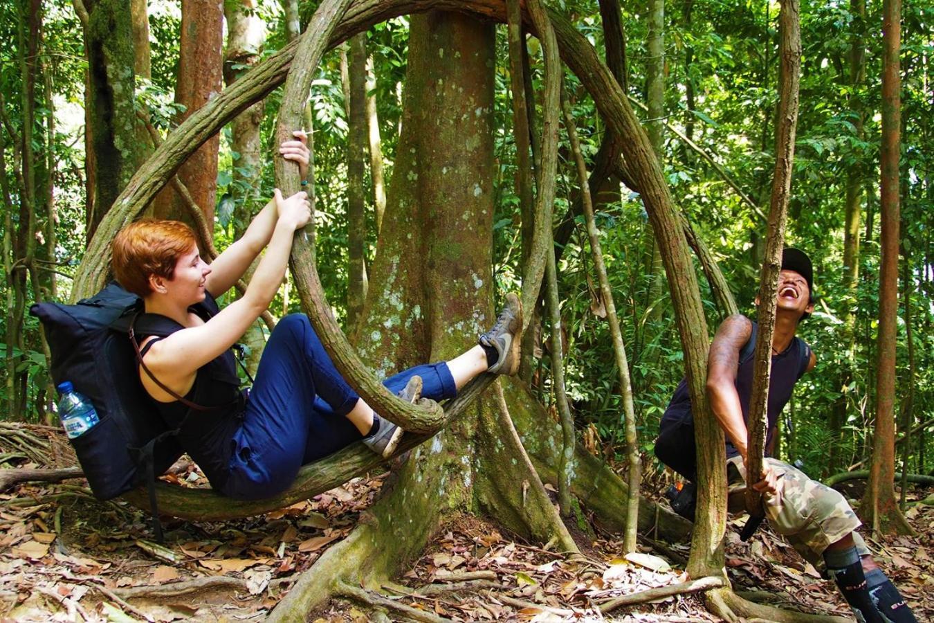 Thejungleguide - Lodges & Treks Bukit Lawang Eksteriør bilde