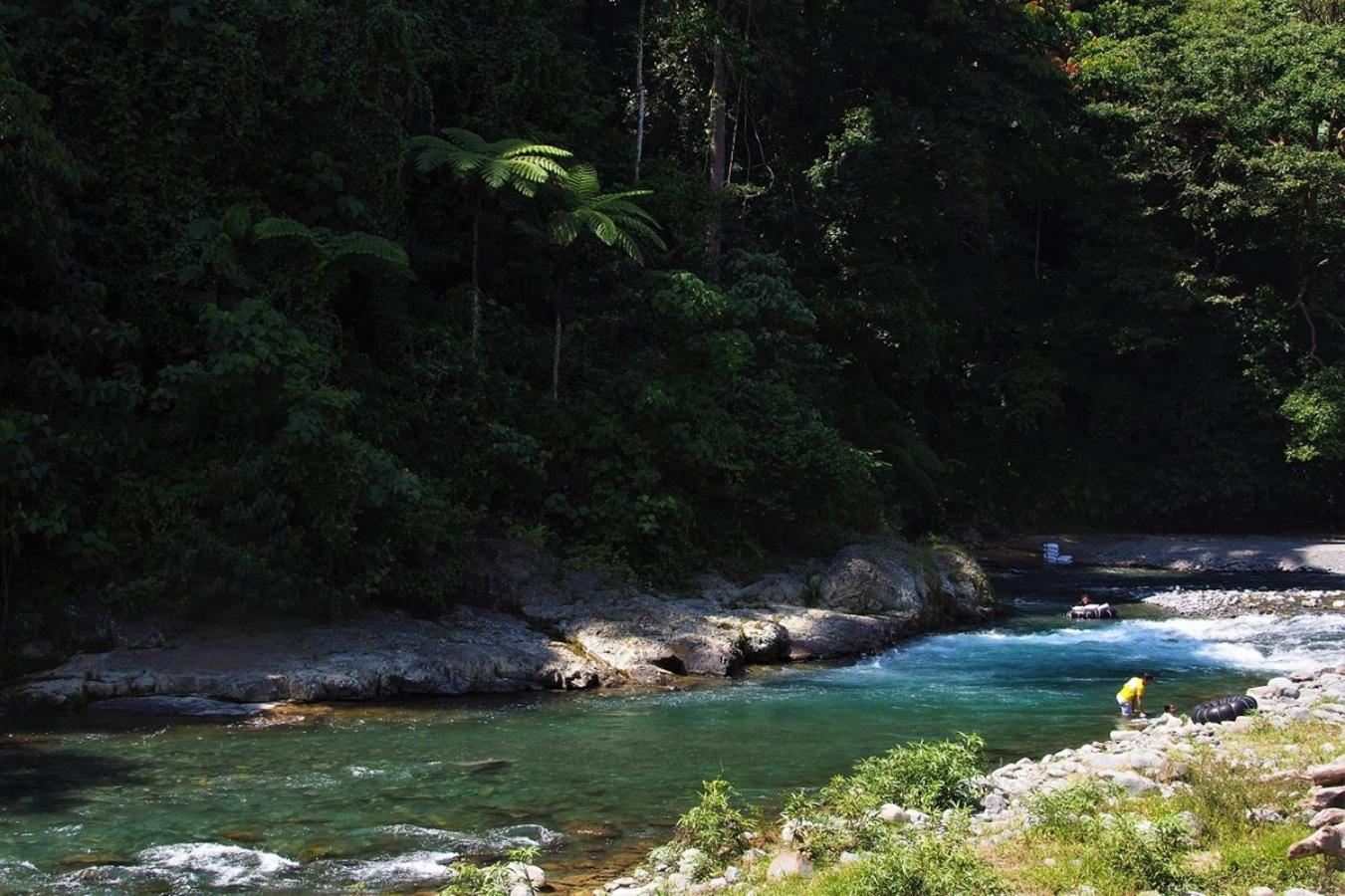 Thejungleguide - Lodges & Treks Bukit Lawang Eksteriør bilde