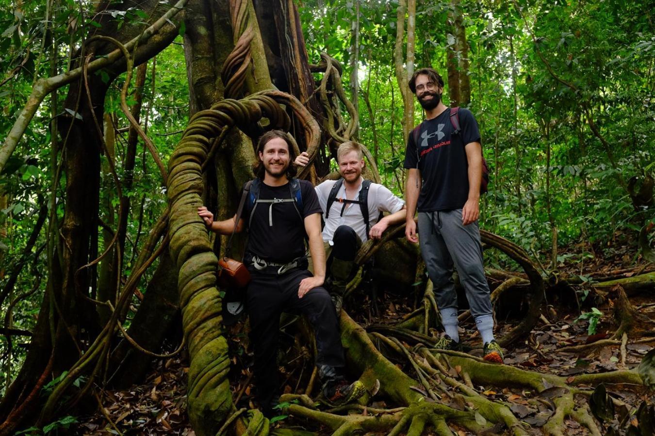 Thejungleguide - Lodges & Treks Bukit Lawang Eksteriør bilde