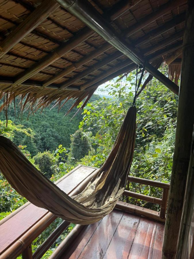 Thejungleguide - Lodges & Treks Bukit Lawang Eksteriør bilde
