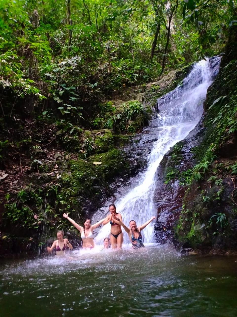 Thejungleguide - Lodges & Treks Bukit Lawang Eksteriør bilde