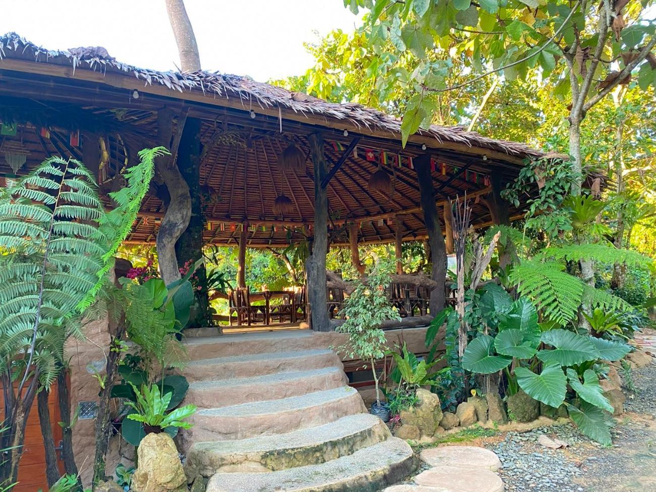 Thejungleguide - Lodges & Treks Bukit Lawang Eksteriør bilde