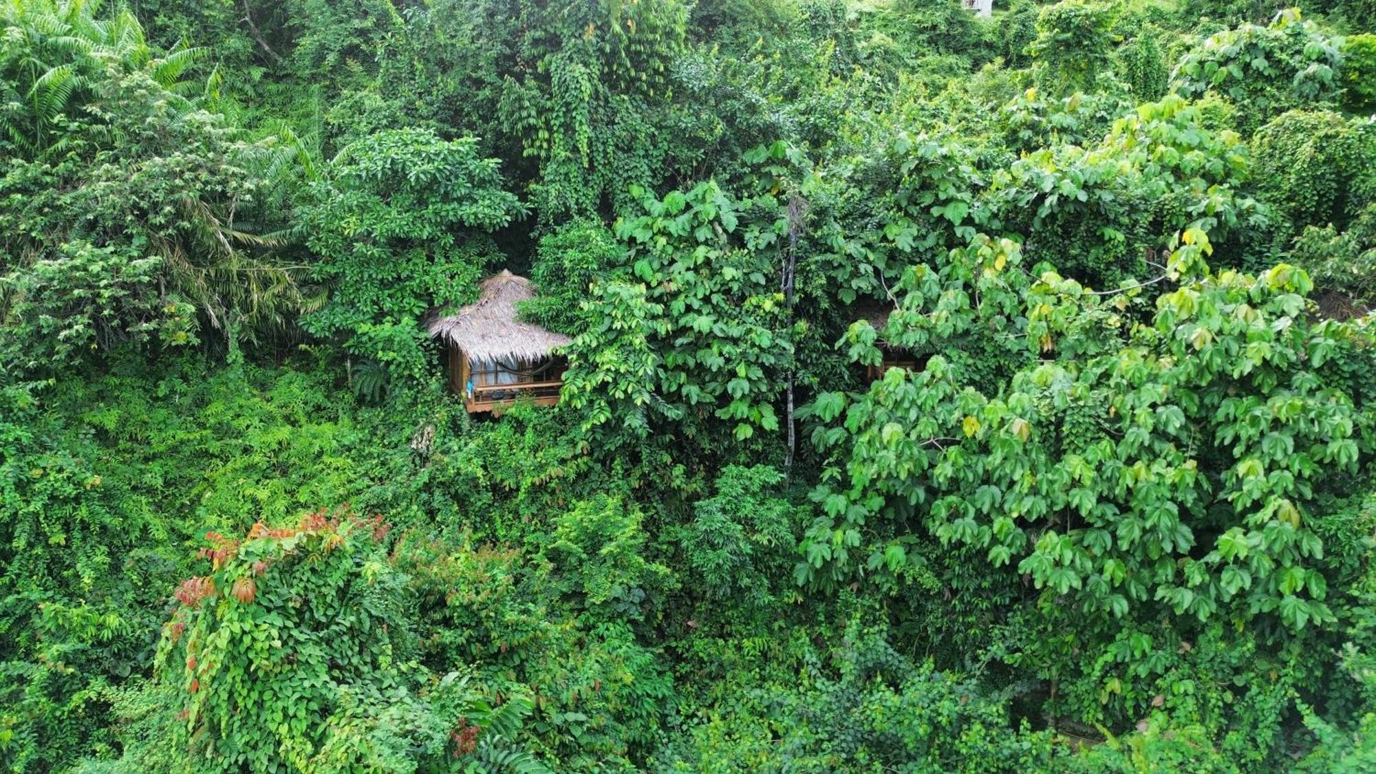 Thejungleguide - Lodges & Treks Bukit Lawang Eksteriør bilde
